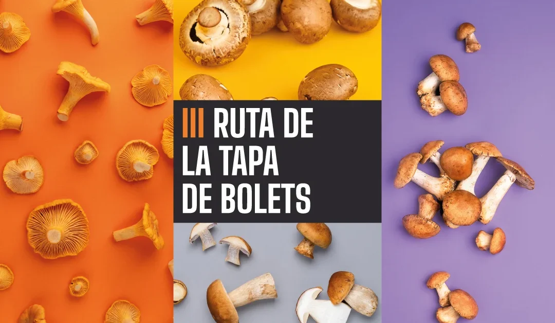Ruta de la Tapa de Bolets